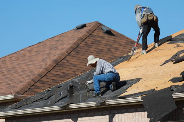 Best Roof Moss and Algae Removal  in Four Corners, MT